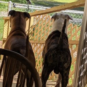 Meet your Posher, Ashlee